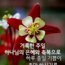 고운식물원 이미지