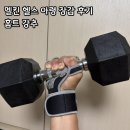 헬스 | 헬스용품 홈트 아령 및 멜킨 헬스 장갑 사용 후기