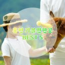 검산 농장 | 홍천 가볼만한곳 청량한 여름여행 추천 5