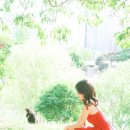 플랫더무드
