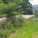 중로11-15 이미지