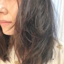 숙헤어 - 목포시 | ululis(우루리스) 헤어 오일 후기