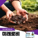 풍년농약종묘사 이미지