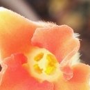 하하호호 이미지