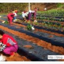 하동군푸드뱅크 이미지