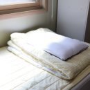 숲아래잠 이미지