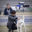 훈이애견 이미지