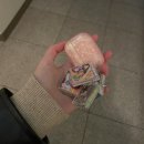 수완로73번길 임방울대로358번길 장신로147번길 | 2월일상 무료공개