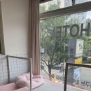 소중하개 | 해운대 애견 호텔의 명소, 소중하개 : 반려견과 함께한 특별한 하루 보내기