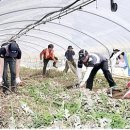 신흥비닐 이미지