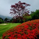 석정힐CC | 고창 석정힐CC 석정힐골프텔 1박2일골프패키지 정보 라운딩후기