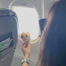 유의조농장 | 🍊JEJU🍊