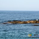 천진마을 이미지