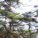 오성리 이미지