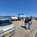 고양이랑놀자 이미지