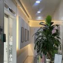 장혜영미용실 | 미사역 미용실 토니앤가이 탈색머리 염색 후기!