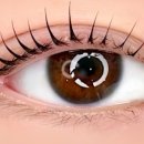 립라인스튜디오 이미지