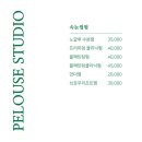 플루즈