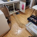 써니크리닝 이미지