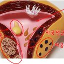 자유한의원 이미지