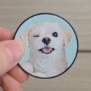 스마트폰으로 포토 영상 만들기 | 포토 스마트톡 바닐라틱 포토 스마트톡