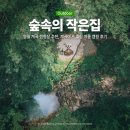 나무그늘의 작은집 작은세상 | 영월 계곡 캠핑장 추천, 숲속의 작은집에서 즐긴 여름 캠핑 후기