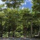 장수방화동캠핑장 | 장수방화동캠핑장 계곡 캠핑 추천 (A14 사이트)