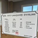 59DOG | 부산 애견운동장 명지 애견카페 추천 | 59dog