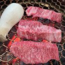 남면한우마을 | 장성남면한우마을🤗🤗