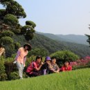 신우여행사 이미지