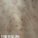 서연점핑 어진점