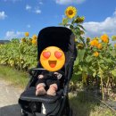 농장자동차공업사 이미지