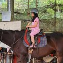 그린승마랜드 이미지