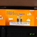 SG컴퍼니-SG COMPANY 이미지