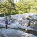 도원1리마을회관 이미지