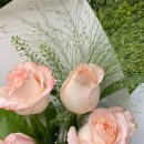 (유)제이알 이미지