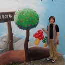 법화유치원 Daum카페