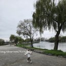 궁남지 서문주차장 화장실 이미지