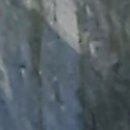 달전골프클럽 이미지