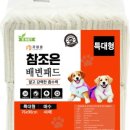 참조은 애견 이미지