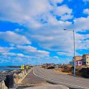 하이렉스파 이미지