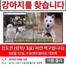 줄리 이미지