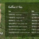 메르시몽프레 포메분양&애견카페 네이버블로그