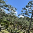 신포리 쭈꾸미 이미지