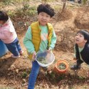 호범농장 Daum카페