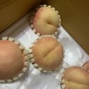 하늘사랑농원 이미지