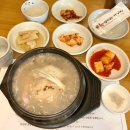 향기은브랜드사업단 | 온천장 삼계탕 건양정홍삼삼계탕 혼밥 온천장 밥집 복날 보양식 내돈내산