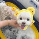 PANG&PANG(팡앤팡)