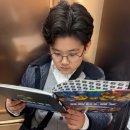 인하대학교박물관 | [인천 인하대역 안경점] 피규어와 고양이가 있는 쾌속 제작 맛집! '호안안경'