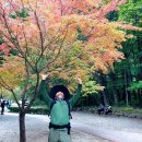 설악산건강원 이미지